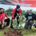 Ketua DPC PDIP Kabupaten Kediri Murdi Hantoro (tengah) didampingi Koordinator ARPL Kediri Ari Purnomo Adi, saat menanam pohon di area Embung Karanglo, Desa Tarokan. Foto: MUJI HARJITA/ BANGSAONLINE