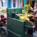 Mesin rajang tembakau