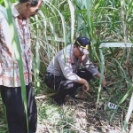 Kapolsek Jetis AKP Subiyanto menunjukkan lokasi penemuan mayat.