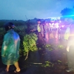 Polisi bersama warga Krembung bahu membahu membersihkan jalan dari pohon tumbang.