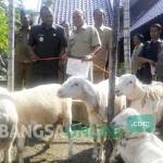 SIMBOLIS: Pj Bupati Sidoarjo H Jonathan Judianto menyerahkan hadiah kambing kepada PPK, PPS dan TPS yang memiliki kehadiran pemilih tertinggi kala Pilkada Sidoarjo 2015, di Pendapa Delta Wibawa, Sidoarjo, Selasa (22/12/2015). foto: musta