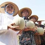 Gubernur Jatim, Bupati Tuban, Kepala Dinas Pertanian Jatim dan Kepala Bakorwil Bojonegoro menunjukkan melon klotok yang baru dipanen. foto: ist