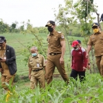 Bupati Tuban Aditya Halindra Faridzky saat meninjau daerah rawan banjir di wilayah Bumi Wali.