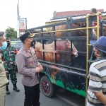 Petugas saat memantau lalu lintas ternak di Kabupaten Blitar.