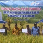 Bupati Fadeli didampingi Kepala DTPH Lamongan Rujito saat panen raya.