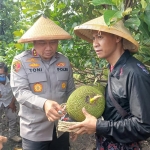 Kapolda Jawa Timur Irjenpol Tony Hermanto saat mencicipi nangka jingga yang dikenal lezat dan manis.