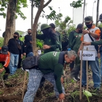 Ketua Umum Gerakan Nasional Donor Pohon Kediri dr. Ari Purnomo Adi saat ikut menanam pohon. foto: (MUJI HARJITA/ BANGSAONLINE)