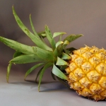 5 Manfaat Minum Rendaman Air Nanas untuk Kesehatan Tubuh. Foto: Ist