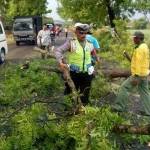 Salah satu pohon yang tumbang di jalan karena puting beliung. foto: zainal abidin/BANGSAONLINE