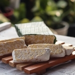 Tempe Dapat Cegah Penuaan, Simak 5 Manfaat Tempe Bagi Kesehatan. Foto: Ist