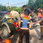 Petugas saat mengevakuasi korban untuk dibawa ke rumah sakit. foto: ist.