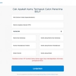 Tangkapan layar halaman BPJS Ketenagakerjaan untuk pengecekan penerima Bantuan Subsidi Upah (BSU) 2025.