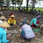 Pengerjaan makadam di Jalan Provinsi yang menghubungkan Kediri ke Nganjuk, Madiun, maupun Bojonegoro, di Desa Tiripan, Kecamatan Berbek, Nganjuk.