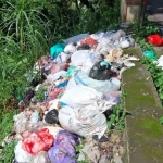 Kondisi tumpukan sampah di dekat Jembatan Blawean Desa Turi, Kecamatan Panekan. Foto: ANTON/HB