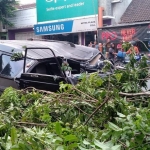 Mobil Suzuki Carry yang tertimpa pohon tampak ringsek.