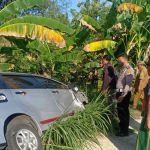 Petugas saat mengevakuasi kendaraan yang terlibat kecelakaan beruntun di Pamekasan.