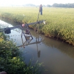 Lokasi tempat korban ditemukan meninggal.