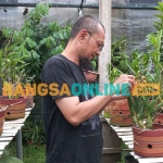 Pemilik Hasanudin Orchids Nursery, Mastur. Foto: ADI WIYONO/BANGSAONLINE