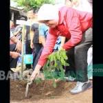 Haryanti saat menanam buah bibit unggul di kawasan wisata Air Terjun Ngleyangan Kecamatan Grogol Kabupaten Kediri. foto: arif kurniawan/ BANGSAONLINE