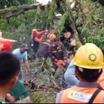 Petugas saat berupaya mengevakuasi batang pohon yang menutup badan jalan.