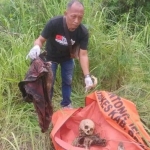Tengkorak dan kerangka manusia yang diduga berjenis kelamin laki-laki ditemukan di bekas tambang galian C, Kecamatan Bungah (dok. Ist)