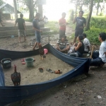 Petugas dari Satuan Reserse Kriminal (Satreskrim) Polres Tuban saat berhasil menangkap empat pelaku di ladang Desa Sadang, Kecamatan Jatirogo, Kabupaten Tuban, Senin (5/3).