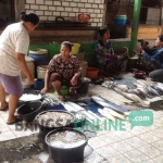 Pedagang ikan di TPI Karangsari Tuban saat menunggu pembeli. foto: GUNAWAN/ BANGSAONLINE