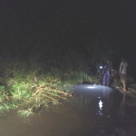 Sedapur bambu yang melorot kejalanan. Foto: IST