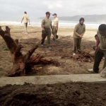 Suasana kegiatan baksos pungut sampah di pantai Pancer Door Pacitan. 