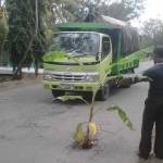 warga tanami pohon pisang disalah satu titik jalan raya Kecamatan Bandung Kabupaten Tulungagung yang rusak parah Foto : Agus Supriyanto - bangsaonline