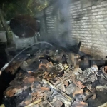 Petugas damkar saat melakukan pembasahan di titik lokasi kebakaran.