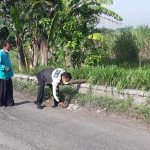 Petugas Kepolisian ketika melakukan olah TKP di Jalan Raya Kedung Jarak Sidoarjo.