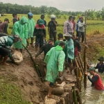 Warga Desa Babaksari, Kecamatan Dukun, Gresik, saat gotong royong memperbaiki tanggul. Foto: Ist