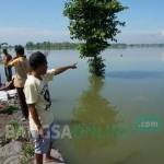 Salah satu petani menunjukkan sawahnya yang ikut terendam banjir. foto: rony suhartomo/ BANGSAONLINE