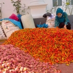 Ketua Tim Penggerak (TP) PPK Kabupaten Sumenep Nia Kurnia Fauzi memborong hasil panen petani. (foto: ist)