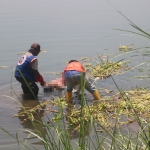 Proses evakuasi jasad Eko Sulis Cahyono di Sungai Brantas. Foto: AAN AMRULLOH/ BANGSAONLINE