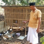 Kepala Desa Gili Timur Moh. Holil memantau langsung ke masyarakat penerima ayam joper.