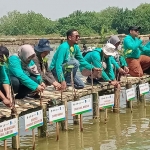 PT Cargil Indonesia bersama pejabat Pemkab Gresik, YEKA, dan ITS serta masyarakat setempat saat tanam mangrove di Kalimireng. Foto: Ist