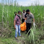 Petugas dari Tim Inafis Polres Kediri saat mengevakuasi korban dari kebun tebu. foto: ist.