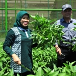 Pelaksana Tugas (Plt) Kepala Dinas DKPP Erna Purnawati yang juga Kepala Dinas Pekerjaan Umum Bina Marga dan Pematusan, saat jumpa pers bersama awak media. foto: YUDI A/ BANGSAONLINE