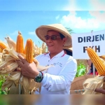 Dirjen PKH Kementerian Pertanian I Ketut Diarmita menghadiri panen raya jagung di Kabupaten Blitar.