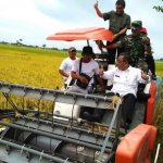 Sekretaris Daerah (Sekda) Kabupaten Tuban Budi Wiyana saat mendampingi Irjen Tanaman Pangan Kementrian Pertanian Tri Susetyo saat panen raya.