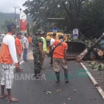 Warga dan tim TRC tengah melakukan evakuasi pohon tumbang.