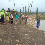 Warga gotong royong perbaiki tanggul di Baureno. foto: EKY NURHADI/ BANGSAONLINE