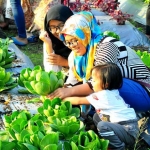 Masyarakat saat memetik sayur segar di Buncob PG. foto: SYUHUD/ BANGSAONLINE