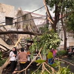 Pohon tumbang akibat puting beliung yang menerjang kawasan komplek Kertajaya Indah