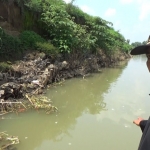 Kondisi tanggul sungai Brantas yang mengalami abrasi. foto: AAN AMRULLOH/ BANGSAONLINE