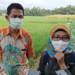 Kepala Dispertabun Kediri Anang Widodo dan Kepala UPT Proteksi Tanaman Pangan dan Hortikultura Dinas Pertanian dan Ketahanan Pangan Provinsi Jawa Timur Ir. Irita Rahayu Aryati saat memberi keterangan kepada wartawan. (foto: MUJI HARJITA/ BANGSAONLINE)