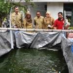 Para UMKM yang bergerak dalam budi daya ikan untuk bahan olahan makanan. foto: syuhud/ BANGSAONLINE