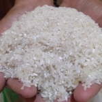 Kualitas beras yang diterima keluarga Wasirun.